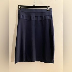 Max Studio Navy Skirt